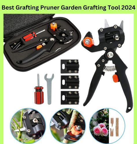 Professional Bonsai Equipment Kit