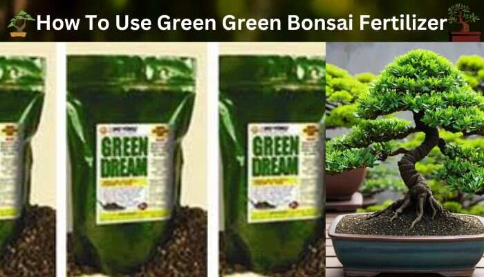 How To Use Green Green Bonsai Fertilizer