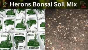 Herons Bonsai Soil Mix