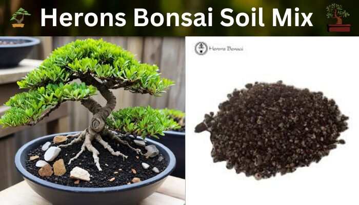Herons Bonsai Soil Mix | Herons Bonsai Soil Mix Ingredients