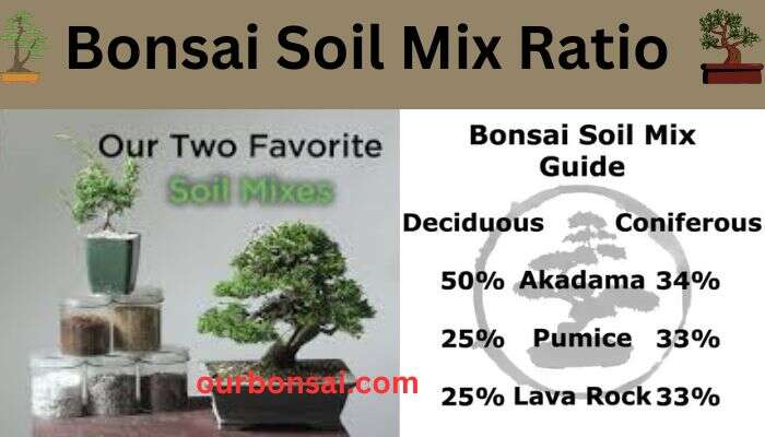 Bonsai Soil Mix Ratio