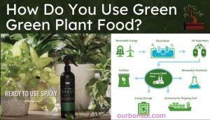 How Do You Use Green Green Plant Food