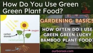 How Do You Use Green Green Plant Food