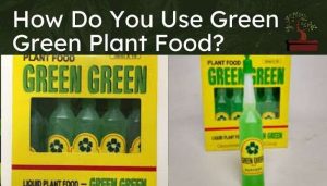 How Do You Use Green Green Plant Food
