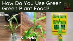 How Do You Use Green Green Plant Food