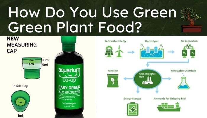 How Do You Use Green Green Plant Food