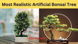 Most Realistic Artificial Bonsai Tree