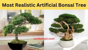 Most Realistic Artificial Bonsai Tree