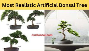 Most Realistic Artificial Bonsai Tree