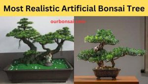 Most Realistic Artificial Bonsai Tree