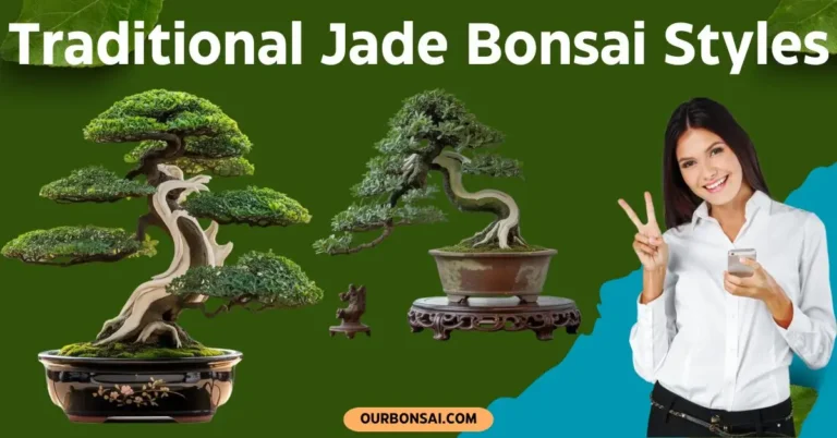 Traditional Jade Bonsai Styles