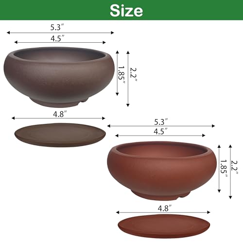 Yixing Bonsai Pot With Drainage: Best Picks And Tips