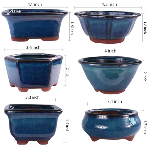 Yixing Bonsai Pot With Drainage And Saucer: Top Picks Reviewed
