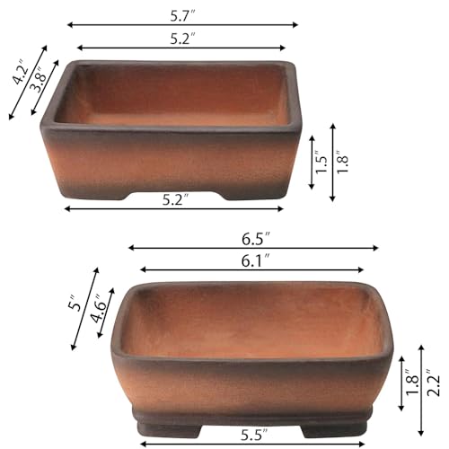 Yixing Bonsai Pot 6 Inch: Top Picks, Pros, And Value
