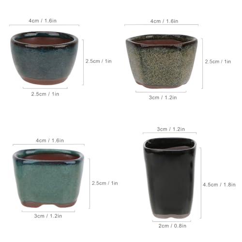 Mica Bonsai Pots Canada: Best Affordable Alternatives And Picks