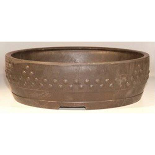 Extra Large Mica Bonsai Pots Review: Top XL Picks 2025