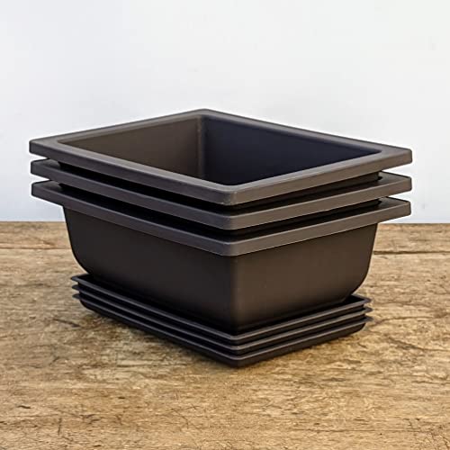 Mica Bonsai Pots With Drainage And Saucer: Top Picks Reviewed