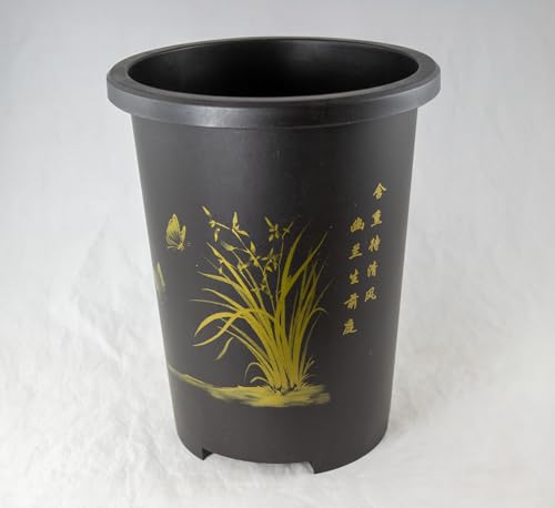 Mica Bonsai Pots 7 Inch: Top Picks & Honest Review