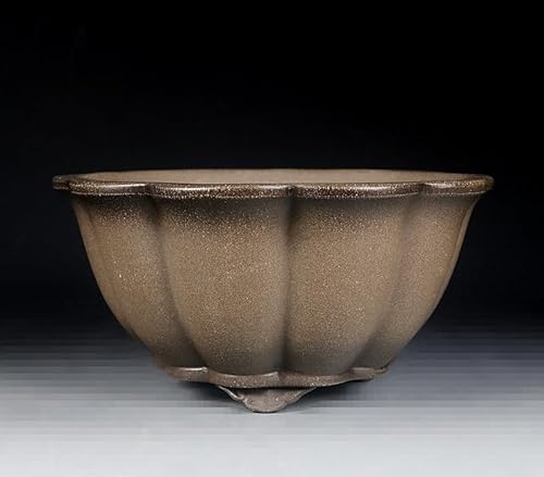 Unglazed Bonsai Pot 9 Inch: Best Picks, Tested And Compared
