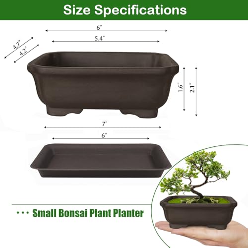 Unglazed Bonsai Pot 10 Inch: Expert Picks And Tips