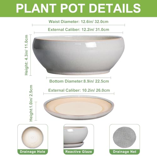 Unglazed Bonsai Pot 12 Inch: Expert Picks And Tips