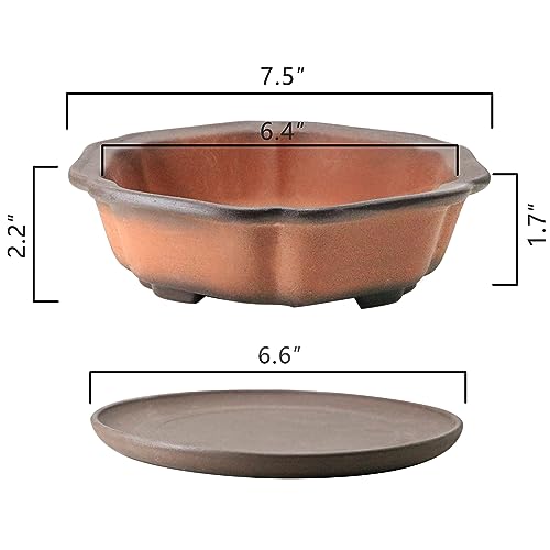 Unglazed Bonsai Pot 9 Inch Saucer: Top Picks And Tips