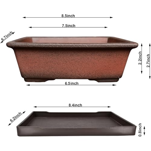 Unglazed Bonsai Pot 9 Inch Saucer Saucer: Honest 2025 Review