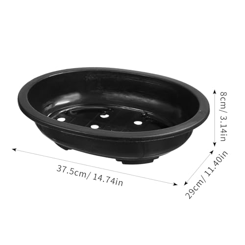 Large Deep Bonsai Pots Review: Top Picks That Grow Roots Right