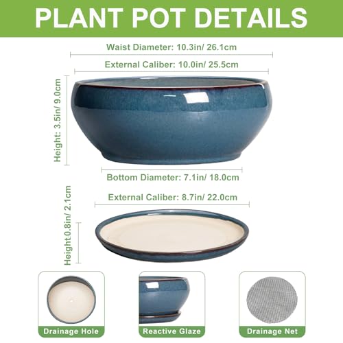 Large Round Bonsai Pot outdoor: Top 5 Expert Picks 2025