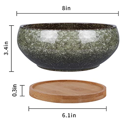 BEHR Bonsai POT Undertones: Calm, Earthy, And Versatile