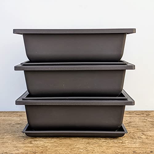 Behr Bonsai Pot Exterior Review: Honest, Hands-On Picks