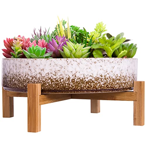 Large Shallow Bonsai Pot Outdoor: Top Picks And Tips