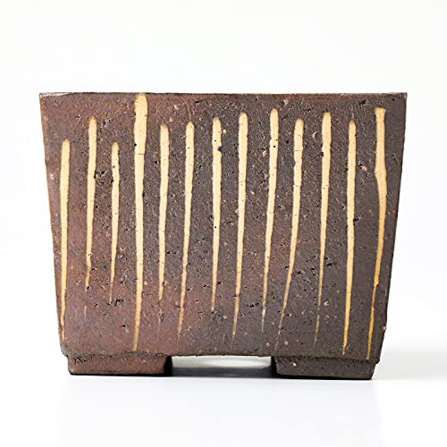 Top 5 Japanese Bonsai Pot Square: Expert Picks For 2025
