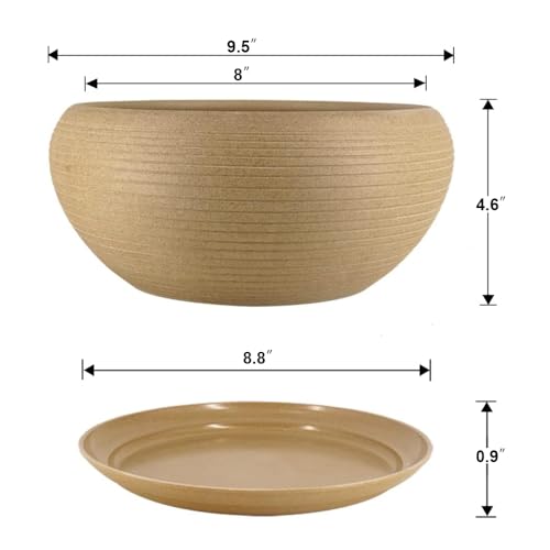 Large Ceramic Bonsai Pot 9 Inch: Top Picks Reviewed