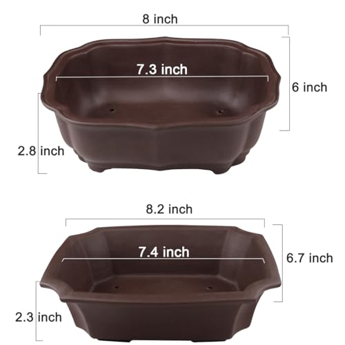 Best Ceramic Bonsai Pot 8 Inch: Top Picks For Healthy Roots