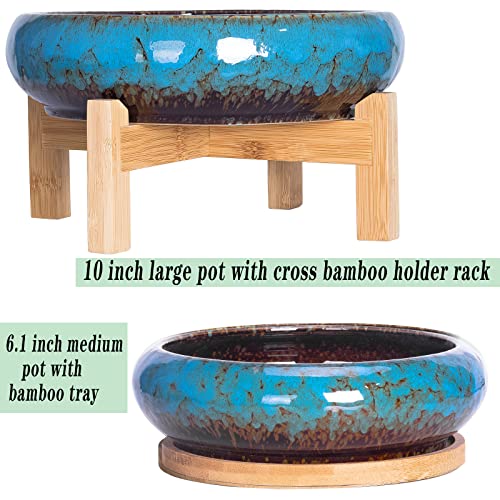 Best Ceramic Bonsai Pot With Drainage: Top 5 Picks 2025