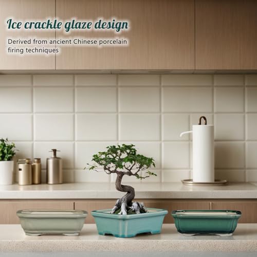 Top 5 Semi Cascade Bonsai Pot: Expert Picks That Shine