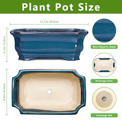 Large Cascade Ceramic Bonsai Pot Review: Top Picks Tested