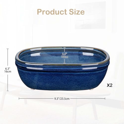 Large Oval Bonsai Pot Indoor: Top Picks And Expert Tips
