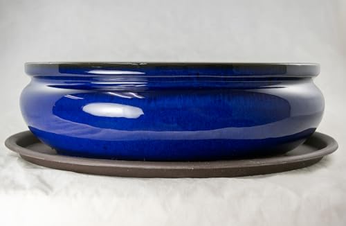 Large Oval Bonsai Pot 8 Inch: Expert Picks And Tips
