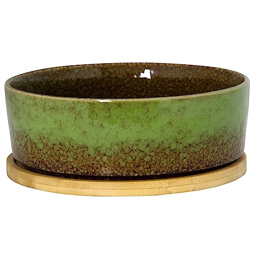 Large Oval Bonsai Pot 7 Inch: Best Picks And Tips