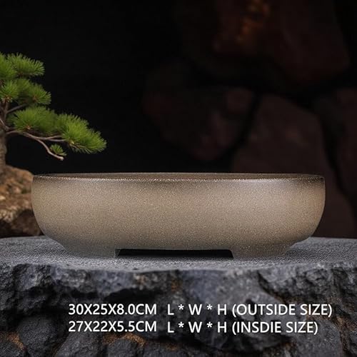 Large Oval Bonsai Pot 12 Inch: Top Picks And Tips