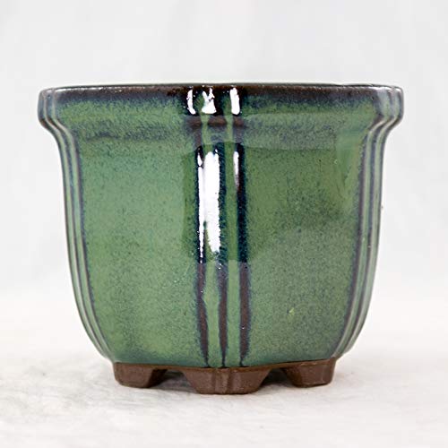 Tall Bonsai Pot For Cascade: Top Picks, Sizing, And Care