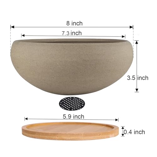 Tall Ceramic Bonsai Pot For Cascade: Best Picks 2025