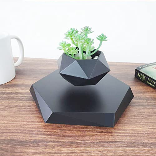 Floating Bonsai Plant Pot 9 Inch: Top Picks 2025