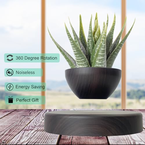 Best Floating Bonsai Plant Pot With Drainage: Top Picks 2025