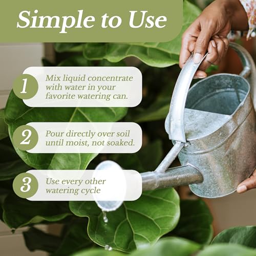 Leaves And Soul Professional Liquid Dracaena Fertilizer: Honest 2025 Review