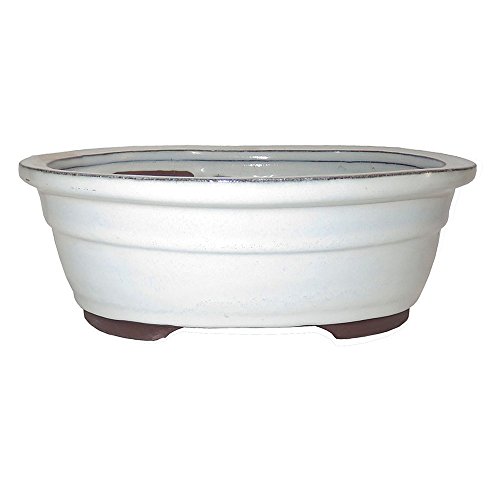 Extra Large Deep Ceramic Bonsai PoT: Best Options To Buy Now