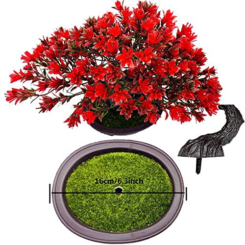 Japanese Bonsai Tree For Christmas Decorations: Best Picks And Tips