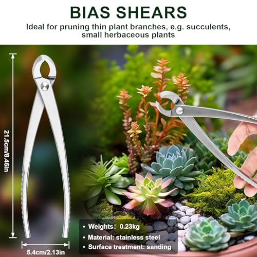 Top 5 Best Bonsai Tools For Beginners: Expert Picks 2025